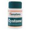 my-secure-tabs-Cystone